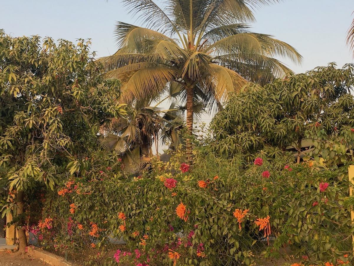 Les Maisons De Marco Senegal - B&B Кап Скиррен Экстерьер фото