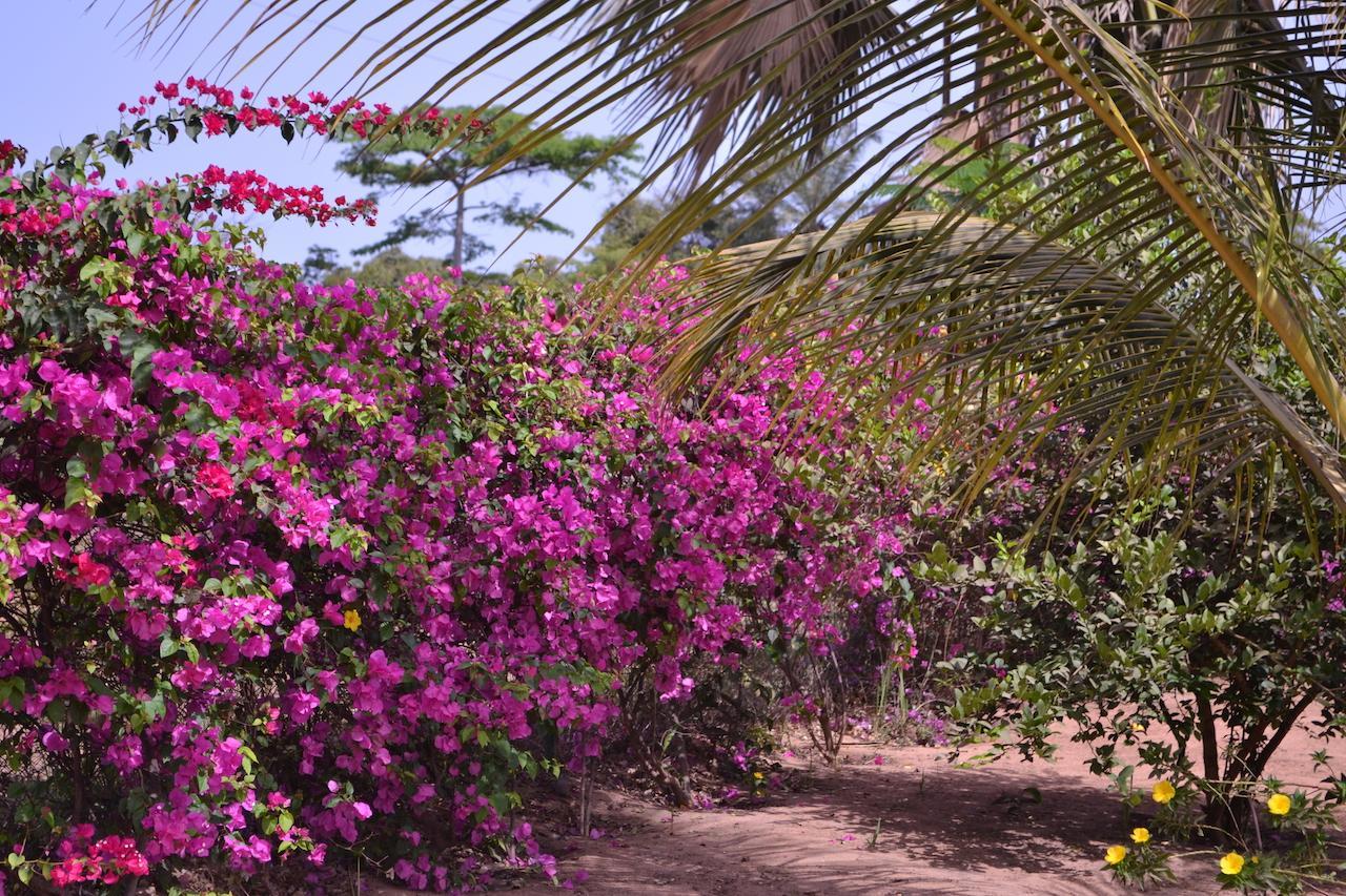 Les Maisons De Marco Senegal - B&B Кап Скиррен Экстерьер фото